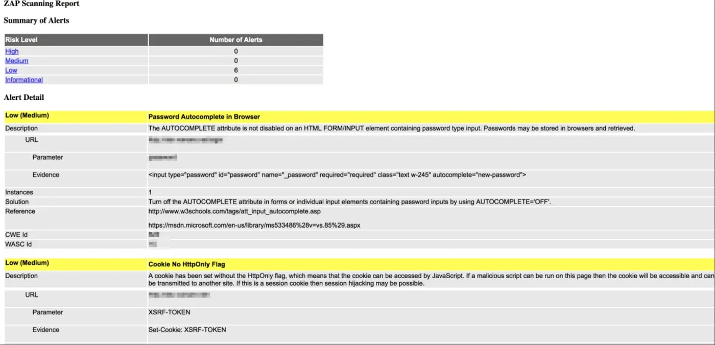 OWASP Report